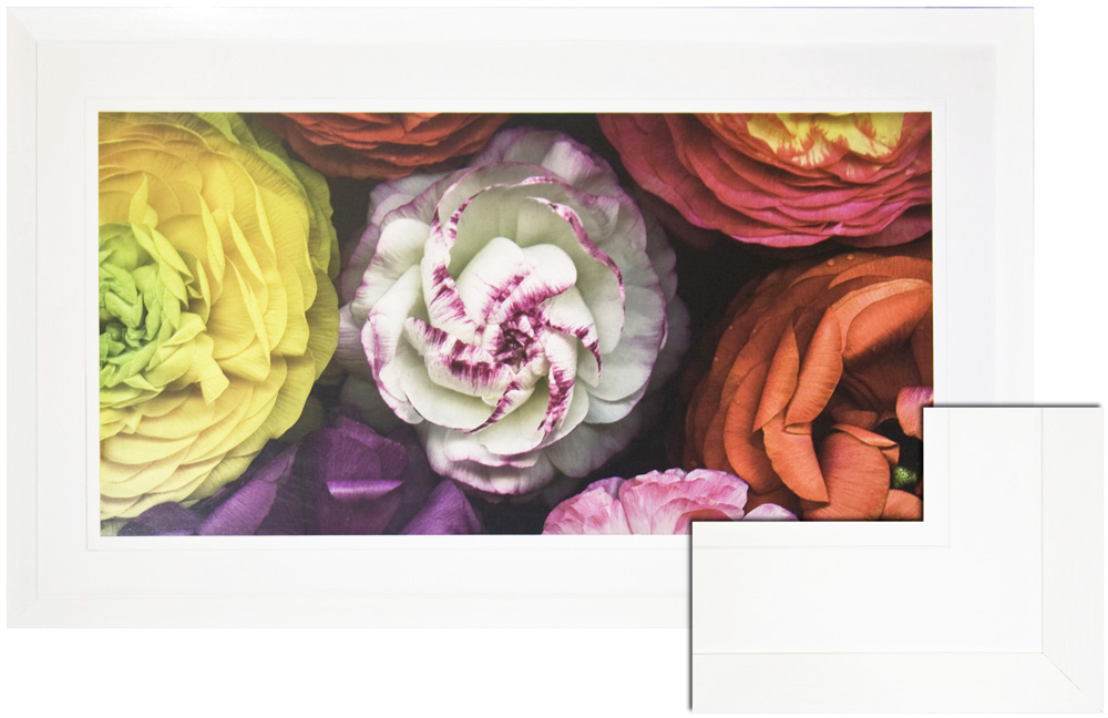 FP015 Wall décor art framed print floral white frame